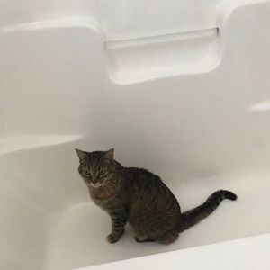 Meet your Posher, Elda